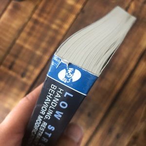 Yin’s Low Stress Handling, Restraint and Behavior Modification of Dogs & Cats